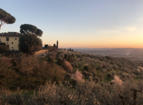 Italy Lifts Vaccine Mandate for Studying Abroad Students