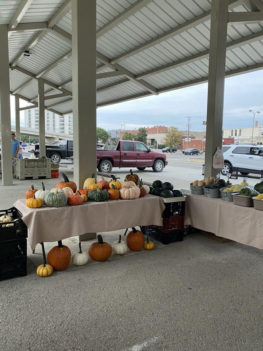 Colorful pumpkins were displayed on tables.